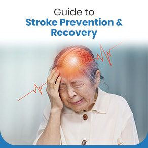 Guide to Stroke Prevention and Recovery